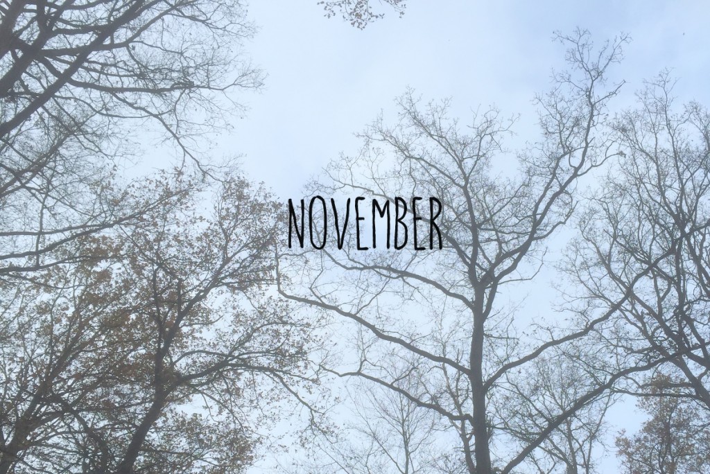 November1